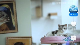 텐센트 뉴스) 우중이 인터뷰