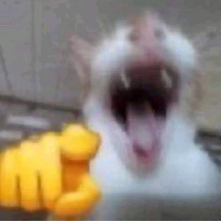ㅋㅋㅋㅋㅋ