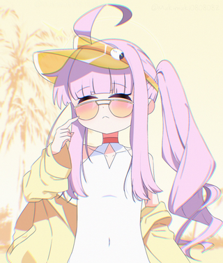 카야 스킨(?)