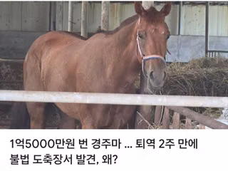 경주마 관리가 흠...