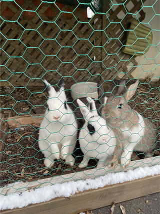 /u/sQu1kLcAENWCG9yhsHYJrUKHcBy1/images/1769866300854_28d9dde6-9843-45f8-8dc1-7d334182aac2