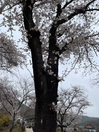 /u/sQu1kLcAENWCG9yhsHYJrUKHcBy1/images/1777557403358_b6d66693-3b61-45ce-8fa7-ea694e467b65.jpg