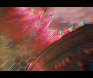 /u/qbgScx2pmNg7JUubmQdVAPFu9Fv1/images/1777986973111_40131302-56f8-4ddc-bcf9-bedfa005b8ae.png