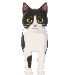 /u/r5tomYVgtqPTdWBP2QlDGIyZ4J42/images/1777741801847_69c4c3b3-aaa2-4cc3-a5a8-7390a95a04a4.png