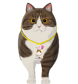 /u/r5tomYVgtqPTdWBP2QlDGIyZ4J42/images/1777741801849_c720d345-7bad-459f-8c79-92f2a02e02d5.png