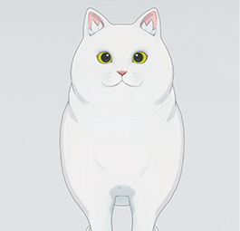 /u/r5tomYVgtqPTdWBP2QlDGIyZ4J42/images/1777741801851_e6c7e7d7-3629-4ecd-9b5b-daf2f003cc2b.png
