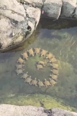 /u/r7R1qXgdcib4Mf5tv5UbYpuvaa53/images/1777016647208_7f707f4d-3f57-4fb0-bb72-4ee26d633301.jpg