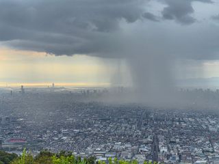 오사카 날씨 근황