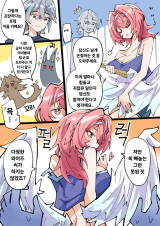 날개손질