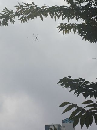 /u/wGW3Bgc1A8XyGCWPvCRfff7m1CF3/images/1760845623894_b8df5a41-de49-4fc3-8ee6-945049f13ae0.jpg
