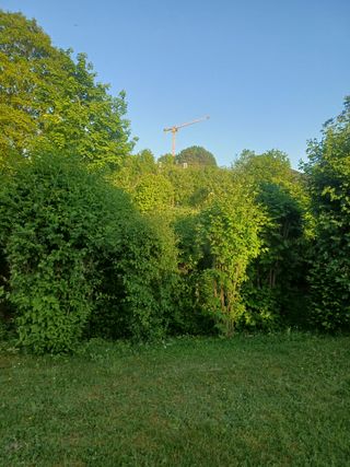 /u/wGW3Bgc1A8XyGCWPvCRfff7m1CF3/images/1778348994692_26fa4209-6058-4019-a870-38d6dda2bc28.jpg
