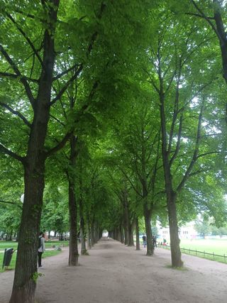 /u/wGW3Bgc1A8XyGCWPvCRfff7m1CF3/images/1778442811944_c8190c6d-678f-41c8-87b6-6483d7001cb6.jpg
