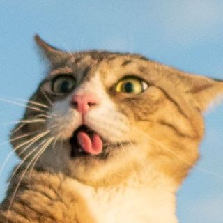 /u/tGXZhQxRbtfANDfP6zzWx2Nkcwr1/images/1755144546188_f8013d42-8174-4990-b922-9fc78f671147.jpg