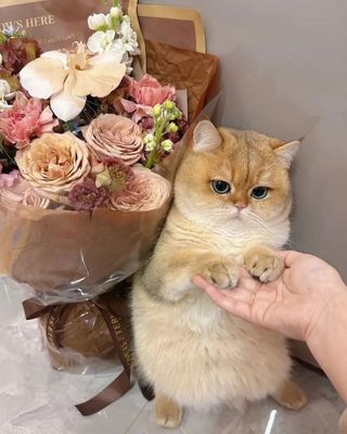 /u/tGXZhQxRbtfANDfP6zzWx2Nkcwr1/images/1757751433888_322ed699-92af-44de-8226-078030e86163.jpg