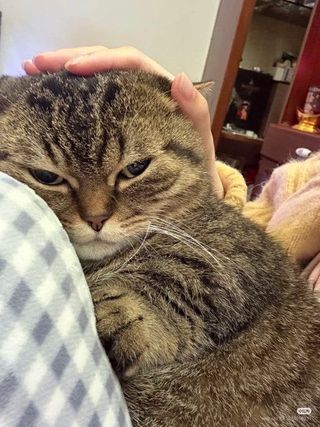 /u/tGXZhQxRbtfANDfP6zzWx2Nkcwr1/images/1775051729751_2b4ccd6a-31b6-488b-9059-da8ccd14730e.jpg