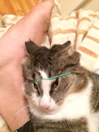 /u/tGXZhQxRbtfANDfP6zzWx2Nkcwr1/images/1775052790626_5e52e2a8-3712-4715-8468-61e1e91c5204.jpg