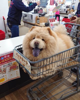 /u/tGXZhQxRbtfANDfP6zzWx2Nkcwr1/images/1775053671292_62a3d9f4-7d51-48dc-8b5b-af6bc169a2e7.jpg