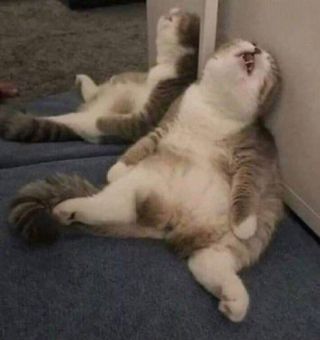 /u/tGXZhQxRbtfANDfP6zzWx2Nkcwr1/images/1775001609635_009ae613-d16f-447e-bed3-1370bf3f717b.jpg