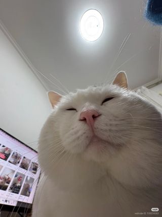 /u/tGXZhQxRbtfANDfP6zzWx2Nkcwr1/images/1775189357541_47a51b4f-2233-4b75-9a37-d32d1c76131a.jpg
