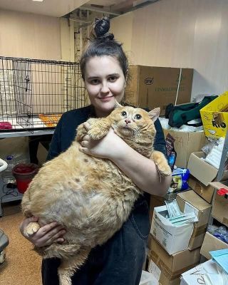 /u/tGXZhQxRbtfANDfP6zzWx2Nkcwr1/images/1775348673202_b9796615-bf39-4cde-a55b-a941ec5786a7.jpg