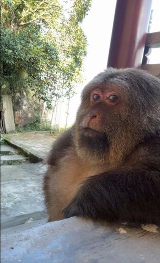 /u/tGXZhQxRbtfANDfP6zzWx2Nkcwr1/images/1775455094920_cfd6077f-cbcb-4ddc-91d7-96cddd2fa1c5.jpg