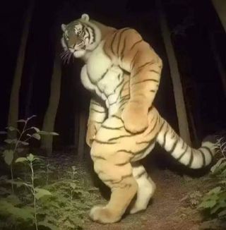 /u/tGXZhQxRbtfANDfP6zzWx2Nkcwr1/images/1775818088494_1d45e389-f676-4d7d-93fe-c1c11807013c.jpg