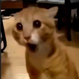 /u/tGXZhQxRbtfANDfP6zzWx2Nkcwr1/images/1775823026561_0285a0ba-5fe0-49cb-8209-575e0897f1a6.jpg