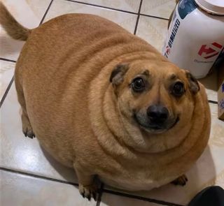 /u/tGXZhQxRbtfANDfP6zzWx2Nkcwr1/images/1776872514560_4e5765b5-81a5-4715-bca6-a16ed78d39a8.jpg