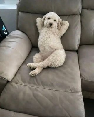 /u/tGXZhQxRbtfANDfP6zzWx2Nkcwr1/images/1777357602706_edb7a7de-52b3-4666-8924-d812e9795b78.jpg