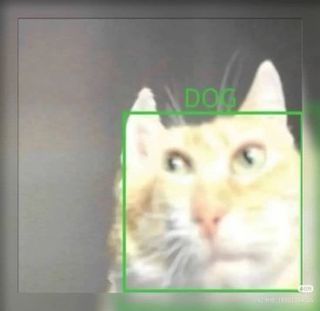 /u/tGXZhQxRbtfANDfP6zzWx2Nkcwr1/images/1777810180127_34e43569-bf8a-4d89-83f0-1a6e5615e70a.jpg
