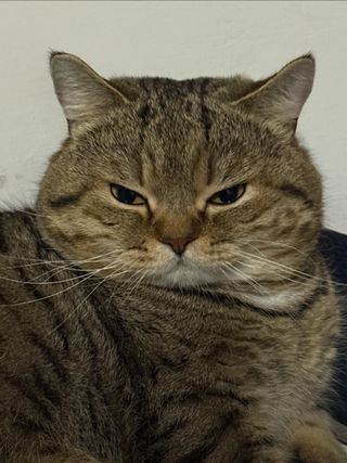 /u/tGXZhQxRbtfANDfP6zzWx2Nkcwr1/images/1778112452088_3b2ba641-b549-4fde-89e2-b91ce9bfb72b.jpg