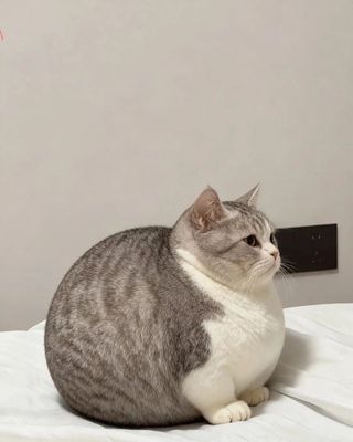 /u/tGXZhQxRbtfANDfP6zzWx2Nkcwr1/images/1778228242631_fb7f4f17-ba40-4456-8be9-0666bca0ff4b.jpg