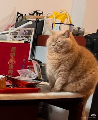 /u/tGXZhQxRbtfANDfP6zzWx2Nkcwr1/images/1778751465965_05c75b8f-3bf4-449d-8b81-4be23873e5b5.jpg