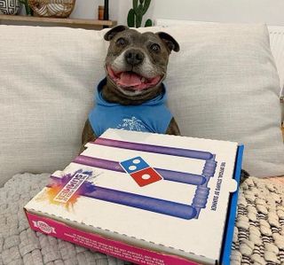 /u/tGXZhQxRbtfANDfP6zzWx2Nkcwr1/images/1779102618069_a62d5c87-4467-4dbb-aa6c-d3cdb23977de.jpg