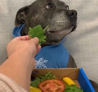/u/tGXZhQxRbtfANDfP6zzWx2Nkcwr1/images/1779102618073_a43aff74-7962-41a1-8e28-9944c17dc414.jpg