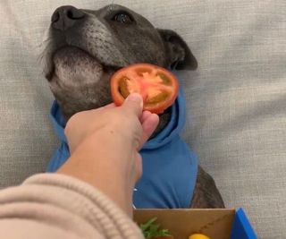 /u/tGXZhQxRbtfANDfP6zzWx2Nkcwr1/images/1779102618072_1e970071-55d7-4a9b-ad2b-6438e33b826f.jpg