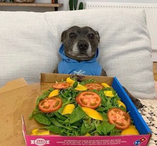 /u/tGXZhQxRbtfANDfP6zzWx2Nkcwr1/images/1779102618072_a7b3720b-096f-43b3-8cda-0e05ace318e9.jpg