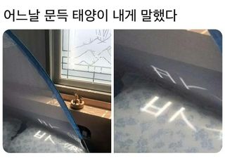 ㅂㅅ