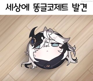 똥글 코제트