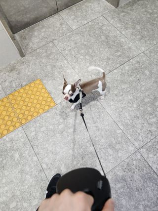 /u/tVr4jsxTiddwQSPtJPQuQ0mU1L43/images/1754039280086_53068932-83b1-4bab-baec-1c0428419342.jpg