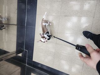 /u/tVr4jsxTiddwQSPtJPQuQ0mU1L43/images/1754039280088_37c316de-31b6-43da-a1c8-17daa12a9445.jpg