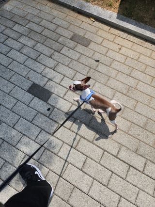 /u/tVr4jsxTiddwQSPtJPQuQ0mU1L43/images/1754039280167_90a93fc2-6c45-49a6-8f6a-98896c75bb42.jpg