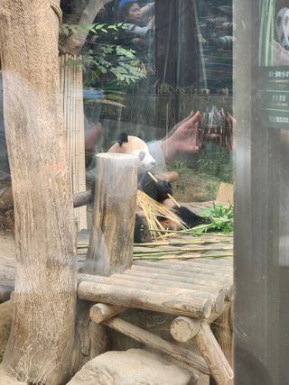 /u/tVr4jsxTiddwQSPtJPQuQ0mU1L43/images/1754389350591_97a15ad0-47dd-40dc-afd8-a3976a39d241.jpg