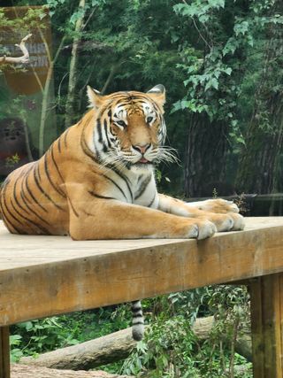 /u/tVr4jsxTiddwQSPtJPQuQ0mU1L43/images/1754389689680_d7e96f86-8ee8-422d-9bb7-553b2e7286c4.jpg