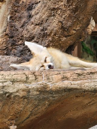 /u/tVr4jsxTiddwQSPtJPQuQ0mU1L43/images/1754389770962_877fd88d-cf58-49c6-b666-e49046ee4fa2.jpg