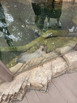 /u/tVr4jsxTiddwQSPtJPQuQ0mU1L43/images/1754390063615_7b7d5426-a74d-49b1-9e50-f82b77ca02cc.jpg