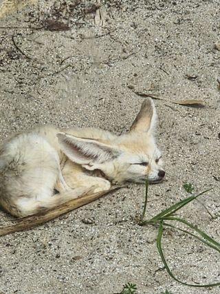 /u/tVr4jsxTiddwQSPtJPQuQ0mU1L43/images/1754390002797_cc7c537b-4a1a-4779-8524-74b2290f6036.jpg