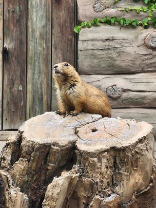 /u/tVr4jsxTiddwQSPtJPQuQ0mU1L43/images/1754390229777_37b8133b-c014-4e3a-8620-57da8a88e328.jpg