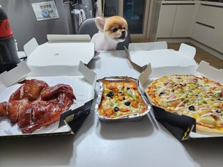 /u/tVr4jsxTiddwQSPtJPQuQ0mU1L43/images/1754739683430_1df3119a-e708-4400-9a4e-77cb8db17294.jpg