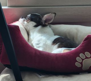 /u/tVr4jsxTiddwQSPtJPQuQ0mU1L43/images/1755440555966_3523e658-cd96-4398-934f-90d22e3976d6.jpg